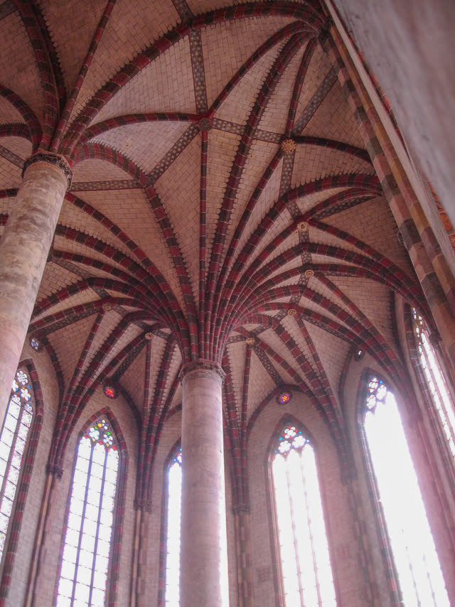 Le palmier des Jacobins